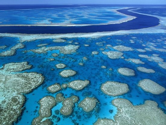 Great  Barrier Reef Scuba Diving