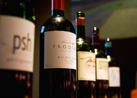 Mendoza Wine Tour