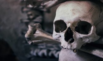 close up of skull and bone