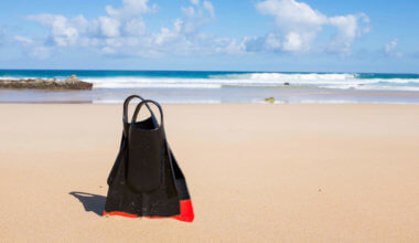 Scuba fins standing in the sand on an empty beach
