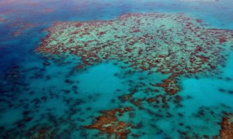 The Great Barrier Reef in Australia