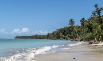 scenic sandy beach with palm trees in Cahuita National Park, Costa Rica