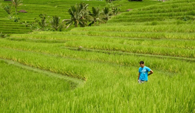Nomadic Matt walking in a rice field in Vietnam while traveling solo