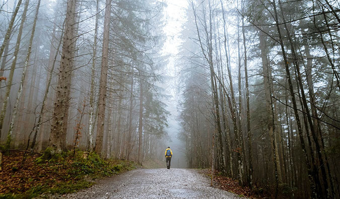 Man walking on a road through the middle of a misty forest with tall trees lining each side