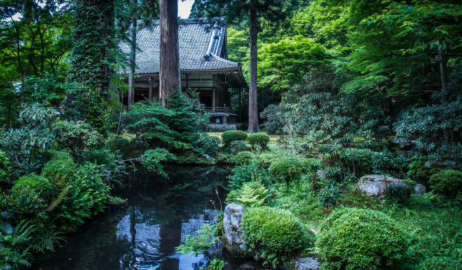 Japanese garden in Kyoto green trees small river and a house mostly hidden in the background behind the trees