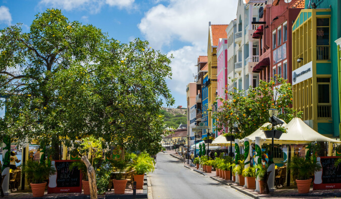 street scene in Curaco on the left are trees and plans on the right tall brightly colored town houses