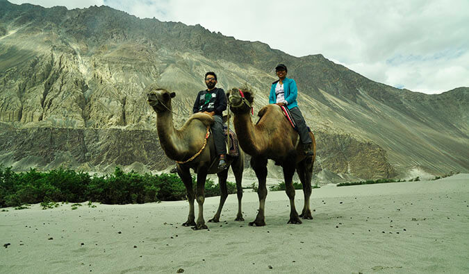 Man and a woman sitting on two camels