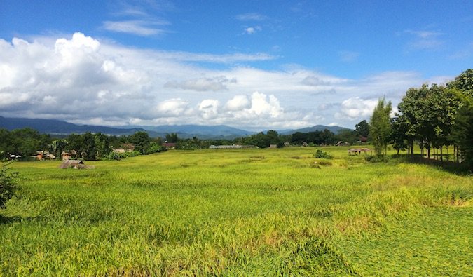 A rice field in Pai, Thailand