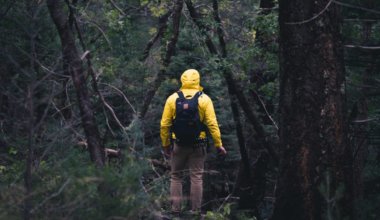 A man hiking in a dense forest