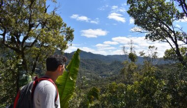 The Top Things to See and Do in Madagascar The Top Things to See and Do in Madagascar