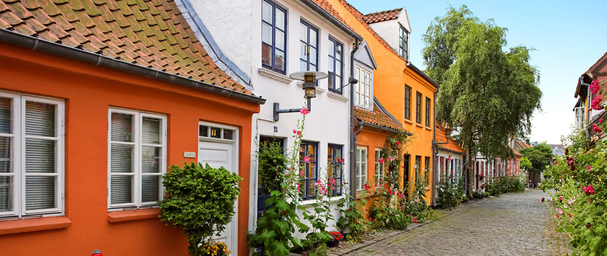 Old colorful Danish houses on a cobbled street