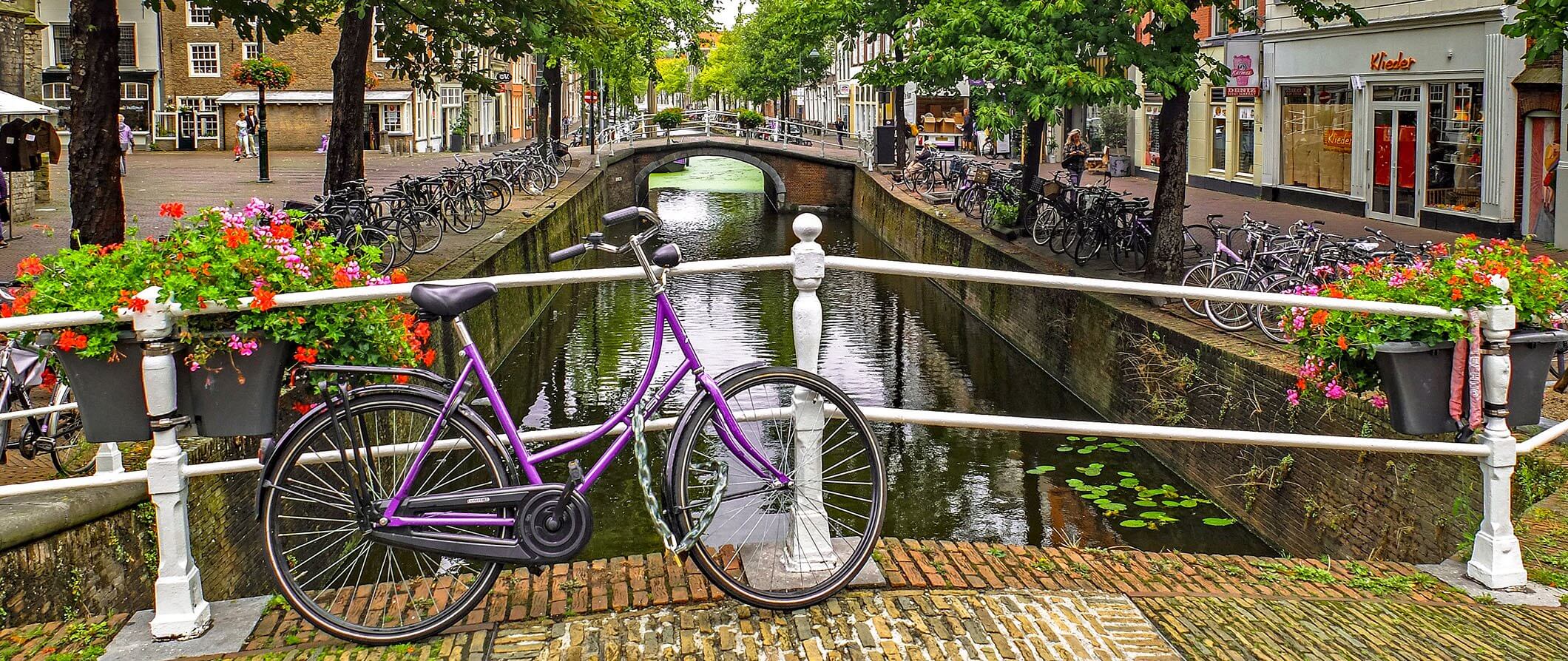 national tourist guide course netherlands