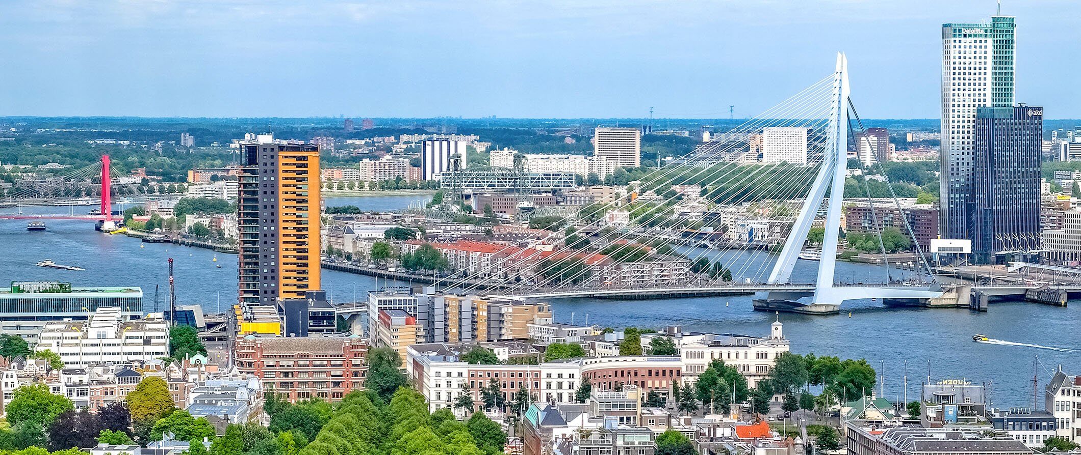 a city view of Rotterdam looking out across the city.Water, bridge, buildings and skyscrapers