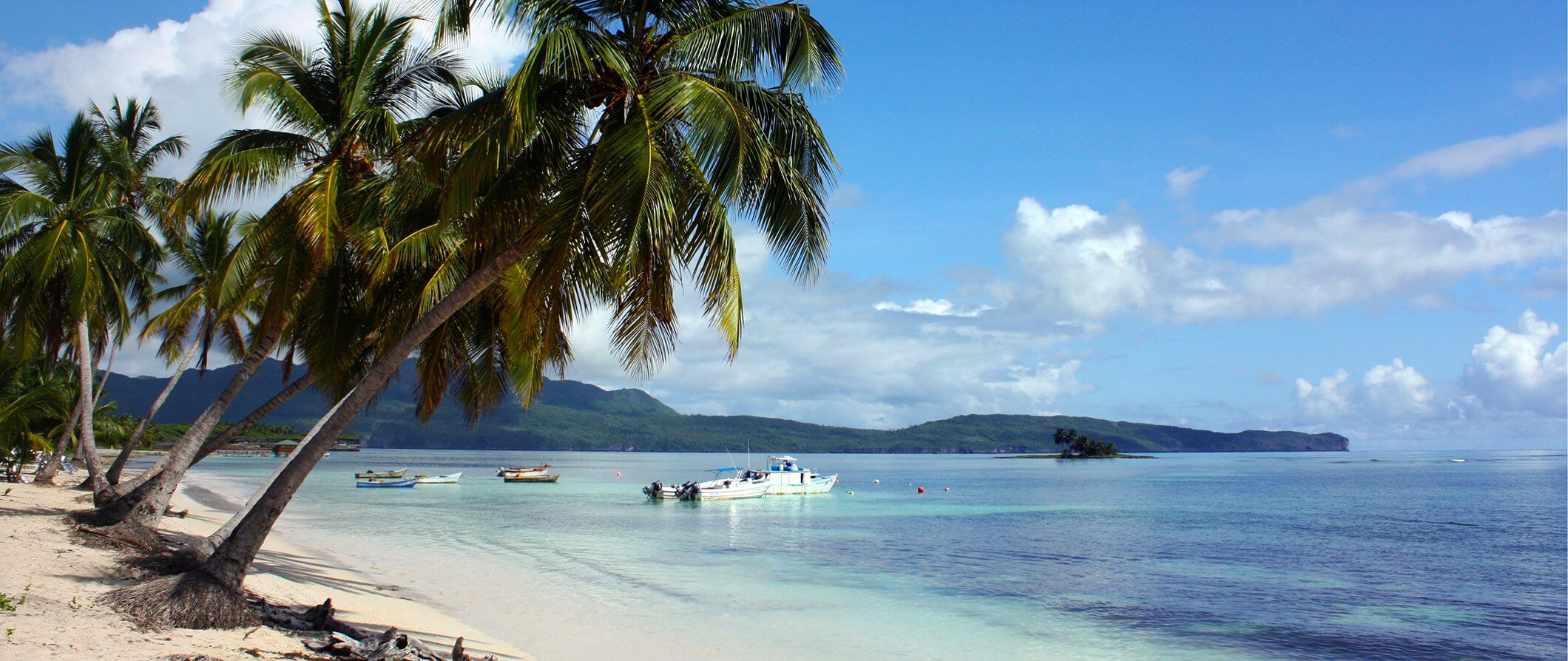 a beach in the Caribbean - Palm trees, sand, the sea and boats