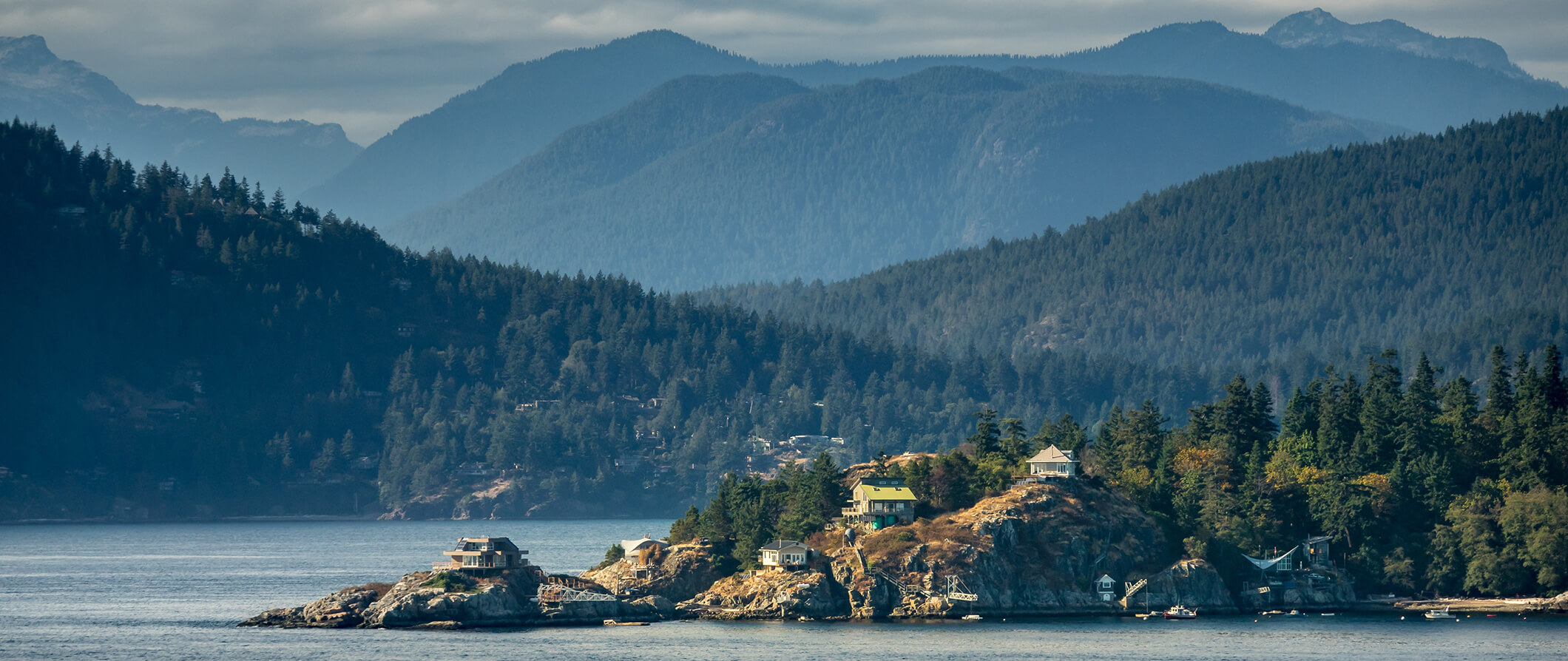 a view of the lush nature and forests of Vancouver Island, Canada