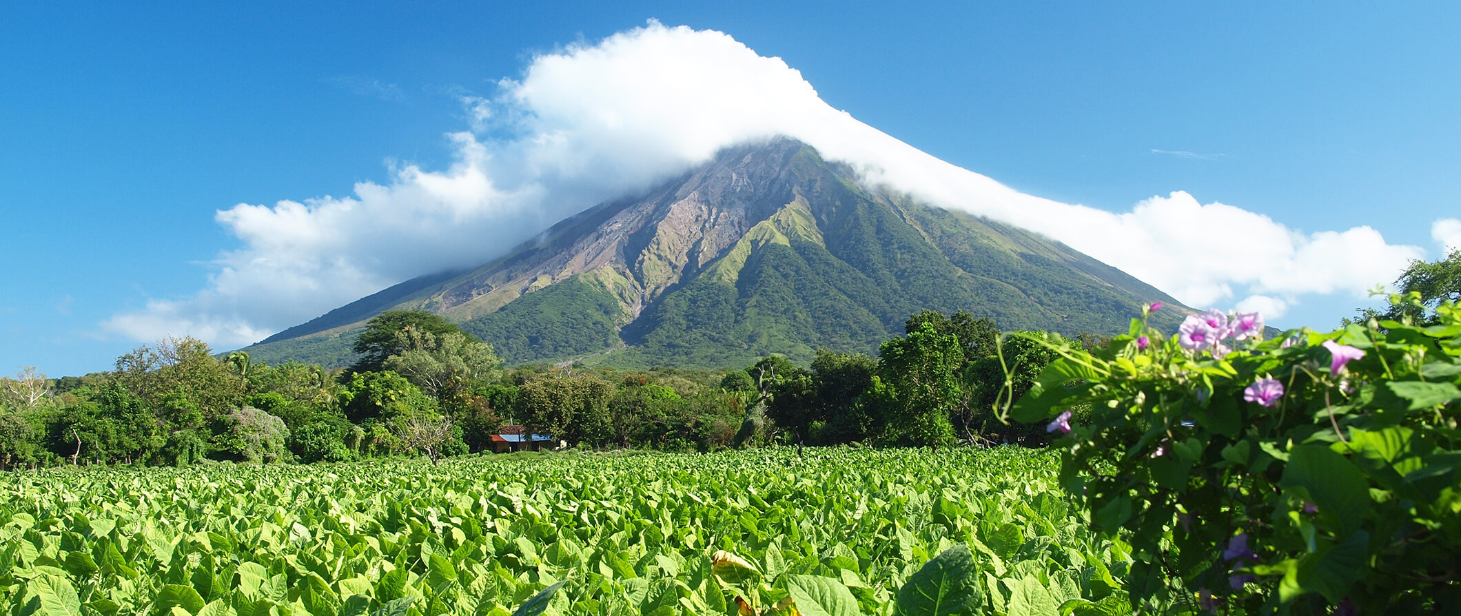 a volcano in Nicaragua blue sky and green surrounds the volcano