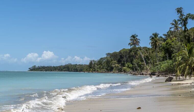 sandy beach with palm trees in Costa Rica