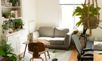 A sunny apartment with a cozy couch and green plants