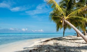 An empty beach in Belize with a leaning palm tree beside the ocean