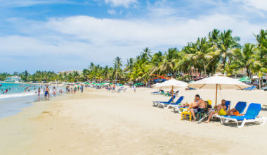 people lounging on a busy beach lined with palm trees