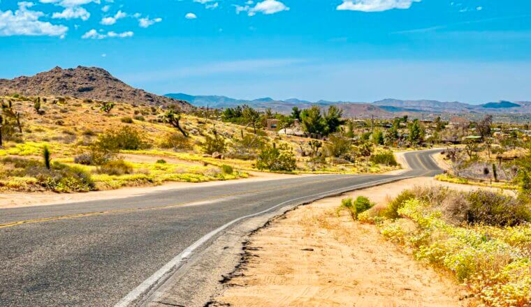 The open road cutting through Joshua Tree Park in the rugged desert of California during a road trip