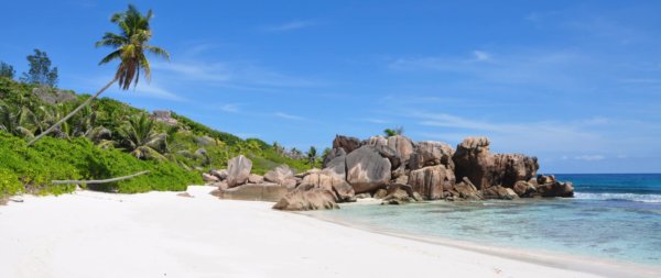 a tropical beach in Seychelles