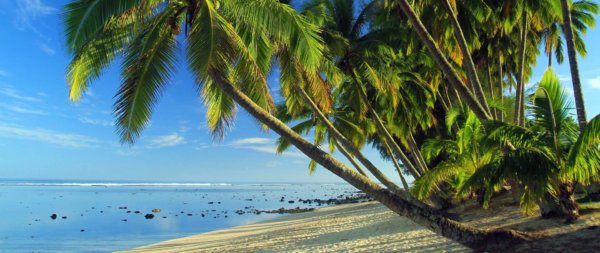 A sunny beach in the Cook Islands