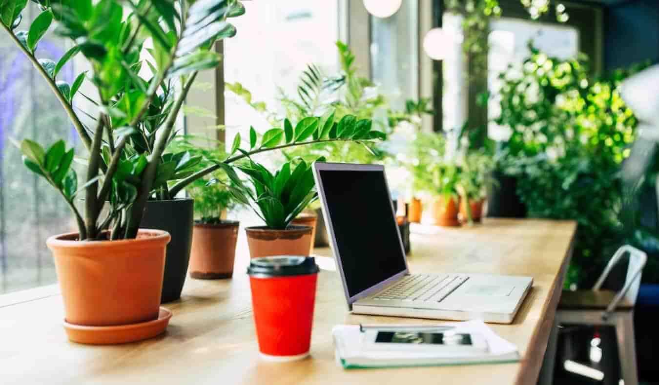 How to Start a Travel Blog in 2022 | Nomadic Matt