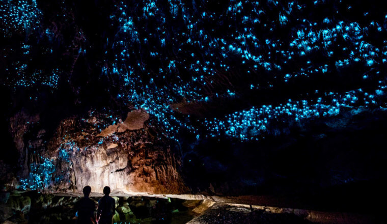 A huge cave full of glow worsm in Waitomo, New Zealand