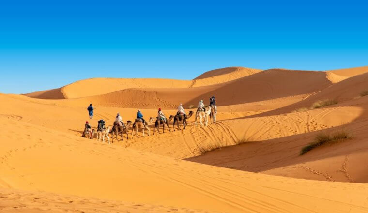 people riding line of camels through the desert