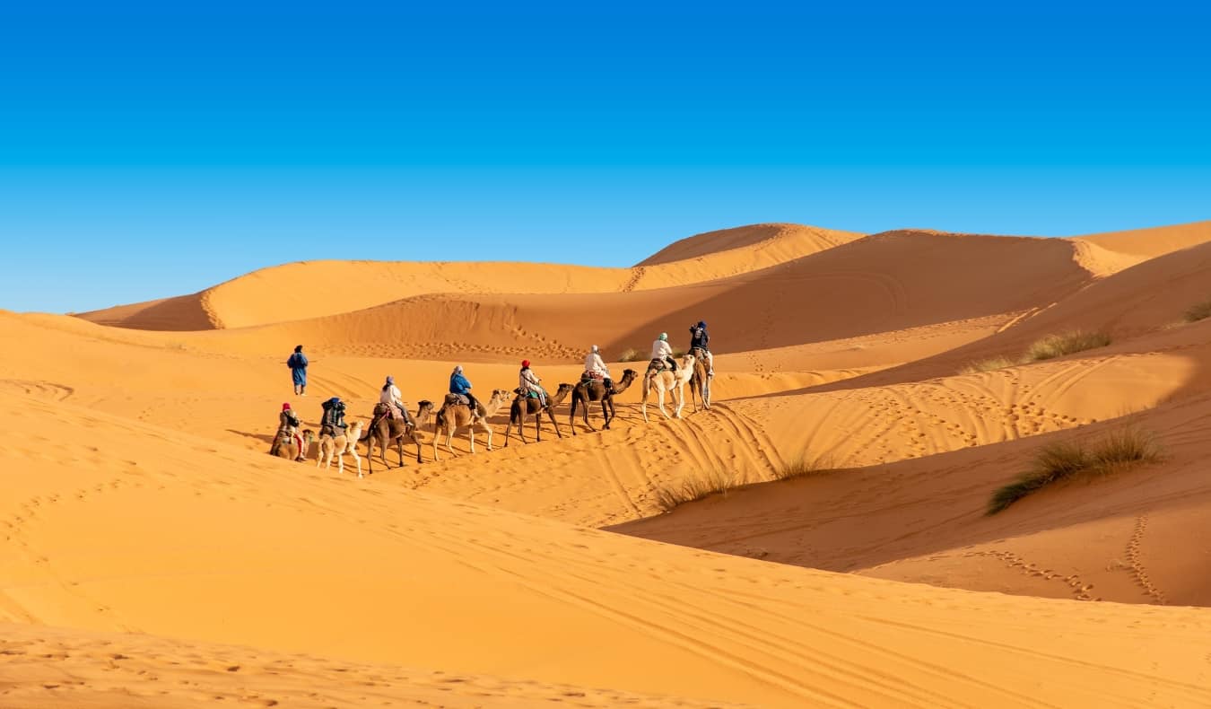 Best Morocco Tour Company 2024