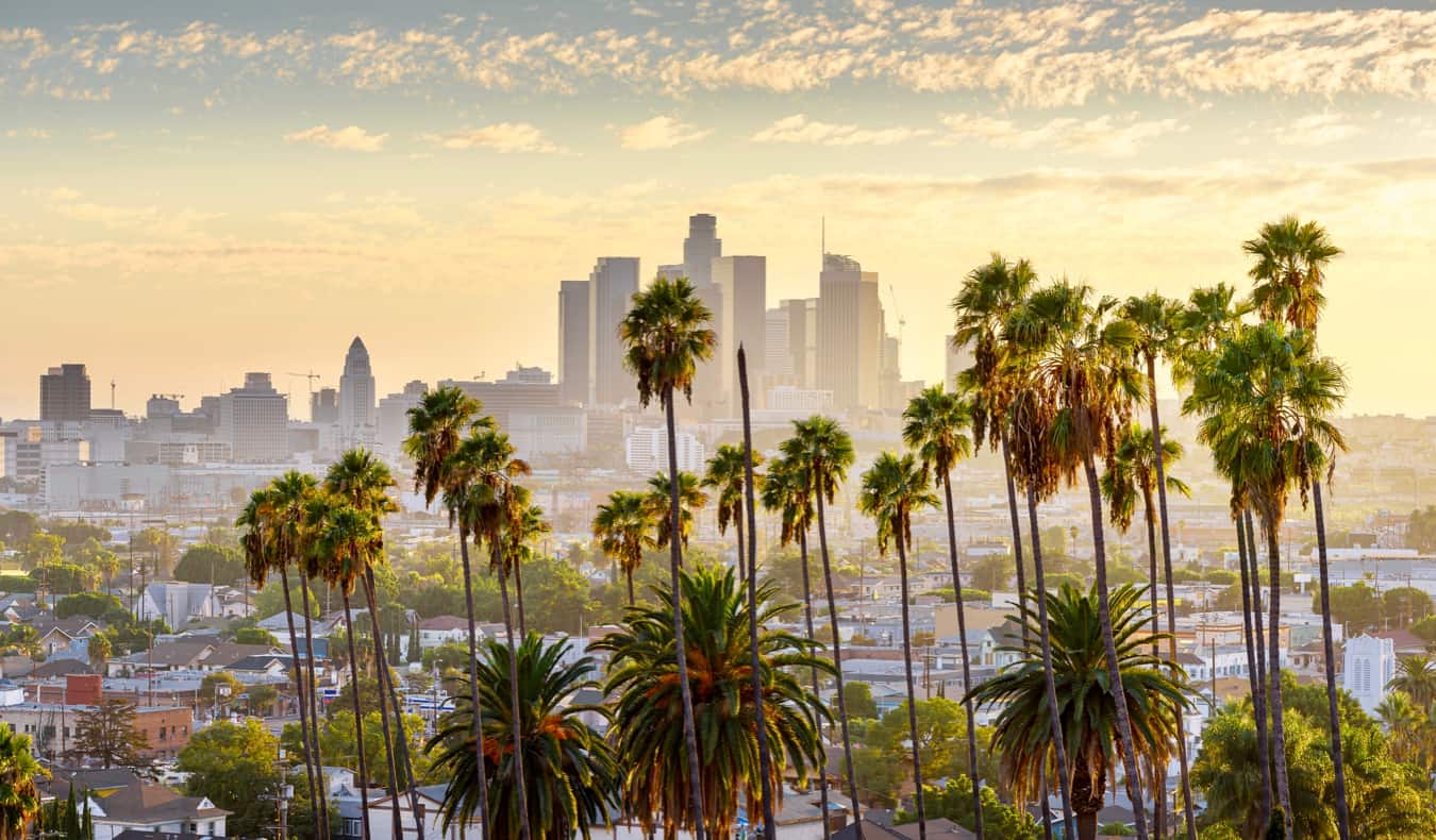 The skyline of LA at sunset with palm trees nearby