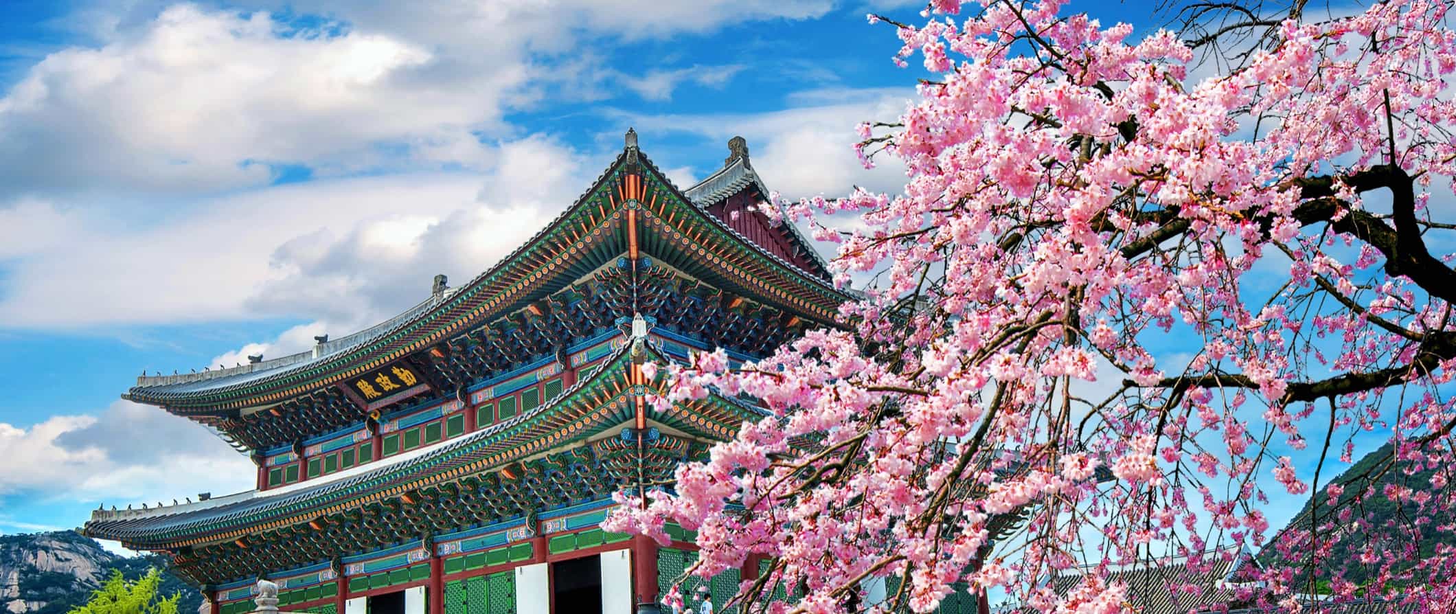 foreign travel advice south korea