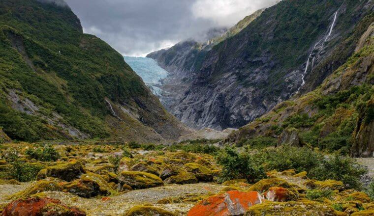 The Franz Josef glacier in summertime with lush greenery all around in New Zealand