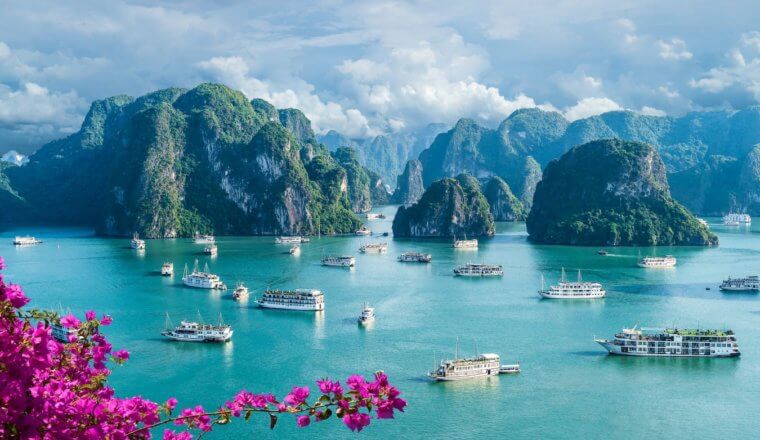 The stunning Ha Long Bay in Vietnam, with flowers in the foreground
