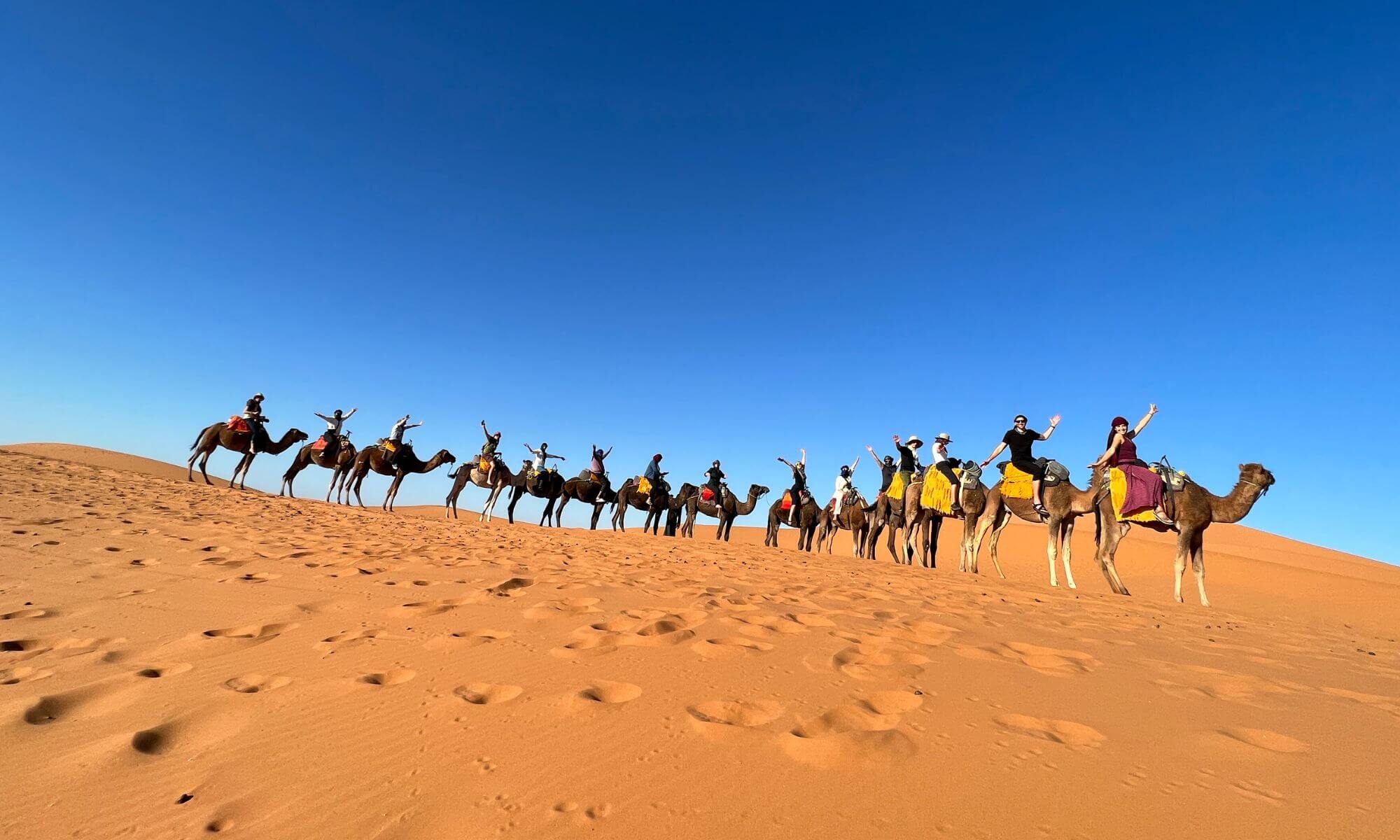 Nomadic Network tour participants on camels in Morocco