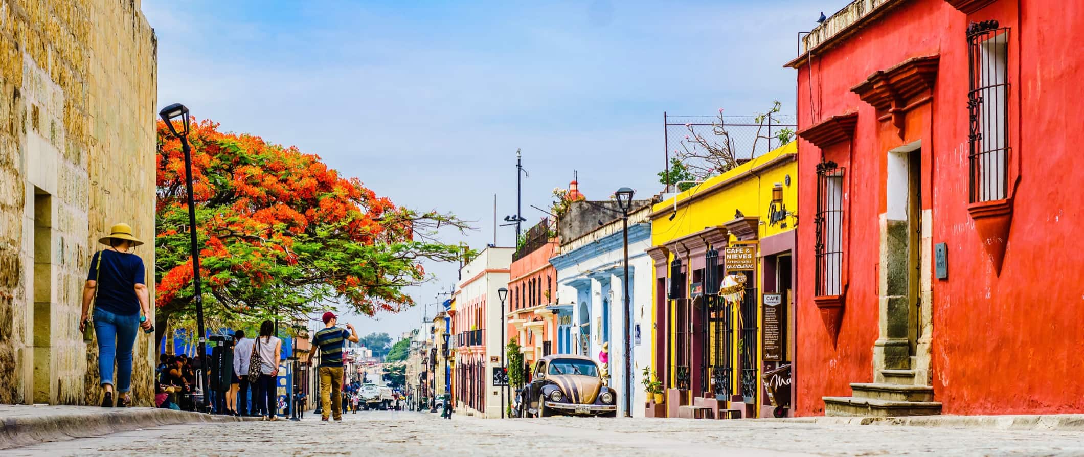 Oaxaca Travel Guide (Updated 2025)