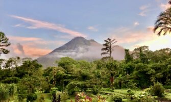 A lush, green jungle in Costa Rica near Arenal