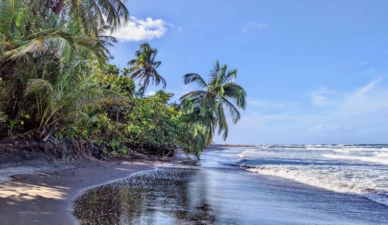 A beautiful beach along the sunny coast of Costa Rica